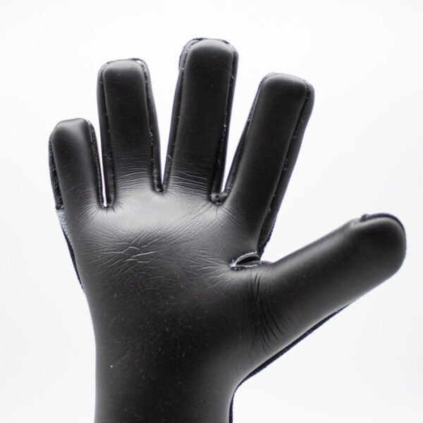 Durban2 Durban10 Pro