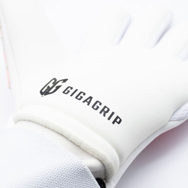 RIO5 Rio’14 Advance